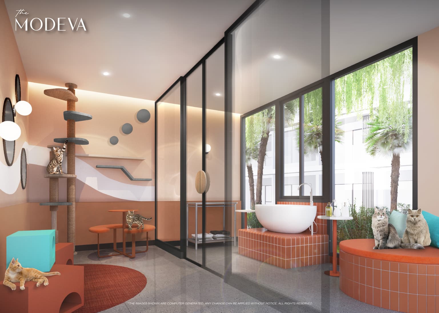 The Modeva — image 3